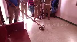 Firefighters rescue and relocate snake found in man's toilet in southern India