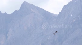 2 Golden Eagles playing in air - slowmotion video