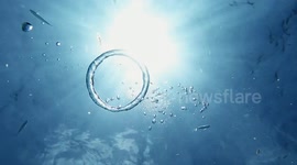 Bubble ring IN