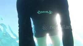 Swimming with Turtle