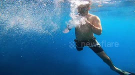 Jellyfish sent flying by bubble ring in Menorca sea