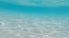 Fondale marino della Spiaggia