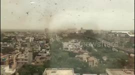 Swarms of locusts blanket suburb of New Delhi