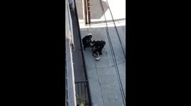 California police arrest man after high-speed pursuit