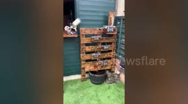 Man builds his own pub with a unique water feature