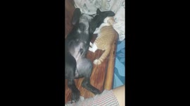 They love each other