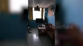 Shocked resident finds large monitor lizard stretched out in front of the TV set