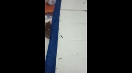 i dont know what this is?