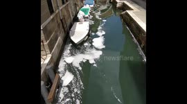 Pollution in a venice canal