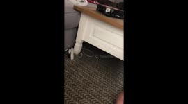Adorable baby Percy laughs hysterically at mummy juggling!