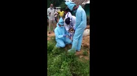 Goats tested for COVID-19 after two farmers fall ill Karnataka, southern India