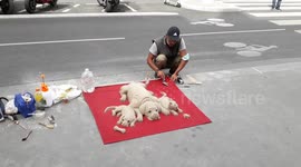 Sand sculpture in Paris. rue Saint-Antoine. 2 july 2020