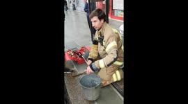 Heroic UK firefighters rescue lone duckling trapped in drain