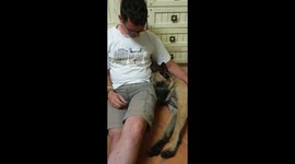 Our Dog's Motto :Eat, Sleep, Repeat
