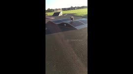 Cutest Dog runs the skate park