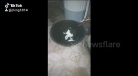 Swimming time alone... refreshing