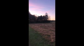 Beautiful field and morning sky