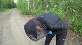 Alaskan couple shows what it's like living with swarms of mosquitoes