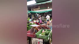 Pet dog rides home from market on motorcycle with owner