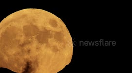 Extreme closeup of the Buck Moon on Fourth of July