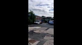 Aggressive seagull launches persistent attack on UK man as he enters work