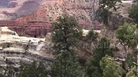 Harrowing footage shows moments after a hiker fell to her death in Grand Canyon