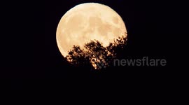 July's 'buck moon' seen rising above Minster on Sea, UK