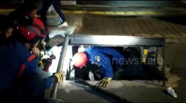 Cat trapped in drain prompts rescue operation in Jakarta