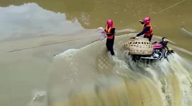 Chinese firefighters rescue piglets transported via motorcycle after they get trapped in flooded river