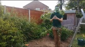Priest dresses up as a tree for livestreamed service