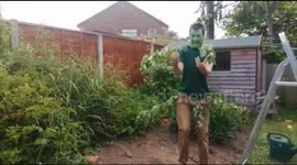 Priest dresses up as a tree and pops out an apple