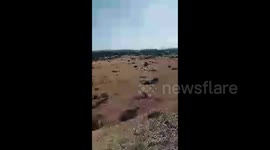 In Makhachkala burning dead wood on an area of 16 hectares, Russia