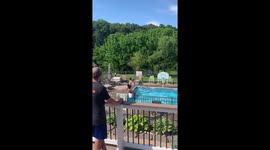 Group of friends nail unbelievable trickshot at pool in Pennsylvania