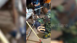 Buddhist monks terrified after cobra slithers past his feet while playing on computer