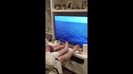 After 53rd anniversary trip cancelled amid coronavirus fears, elderly Australian couple take living room 'cruise'