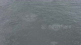Raindrops falling on a pond, creating beautiful ripples and wave interference patterns.