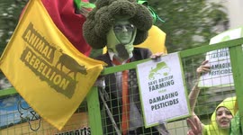 Farmers hold tractor protest in central London over agricultural bill