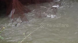 Fishing in Rural Area of BD