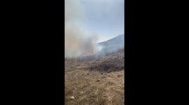 Brush fire in San Pedro, California moves rapidly up hillside