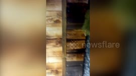 A dad has turned his garden shed into a proper SAUNA for less than £500 - complete with ice plunge bath and searing hot fire