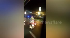 Rainbow dog rides pillion on motorcycle