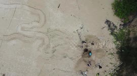 Marine officers move leatherback turtle's eggs from beach to safe position in Thailand