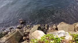 Water Flow