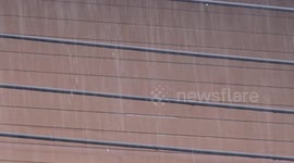 Raindrops falling on electric wires during a tropical storm.
