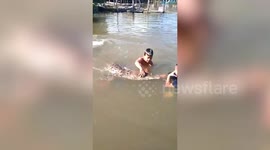 Children spark panic swimming with lifeless crocodile in Malaysia