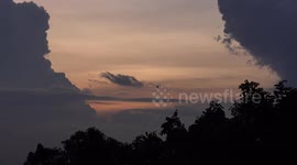 Birds fly across an evening sky.