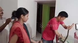 Man rescues Indian rat snake with empty tobacco stuck to its head in Northeastern India