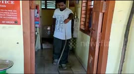Cobra rescued from toilet