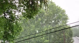 Upland, Pa Tropical Storm Fay