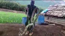 Snake catcher removes 15-foot king cobra from residential area